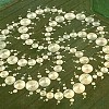 Círculos de las cosechas (Crop circles)